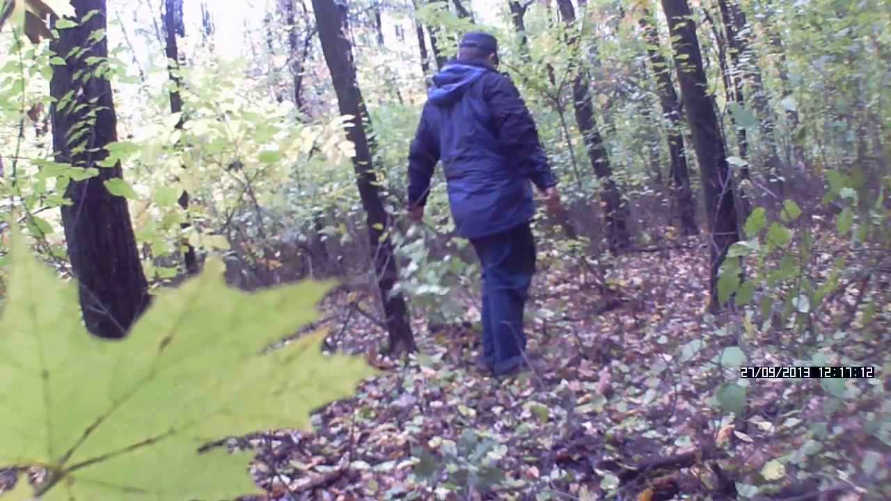 planning and sectoring the coverture in wood,as well as first test the knife for survival отдых в карпатах