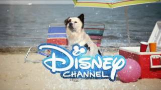 Disney Channel España - Cortinilla Verano 3 (Mi perro tiene un blog/Nuevo logo 2014)