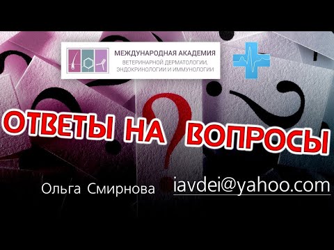 Ответы на вопросы