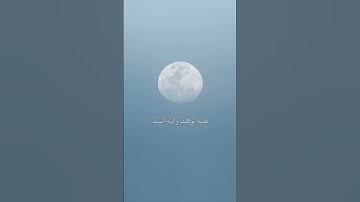 وَمَا تَوۡفِيقِيٓ إِلَّا بِٱللَّهِۚ || سورة هود || مشاري العفاسي #اجر_لي_ولك #قرآن 🤍.