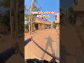 Running Dog Catch Up #running #shorts #streetdogrevival #ytviral #rescue #pets