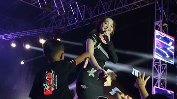 ILMU PADI - DIFARINA INDRA - OM ADELLA - KOMPAS COMMUNITY LIVE SELOREJO GEMBONG PATI 2024