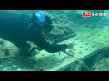 澎湖遊客「種珊瑚」 打造馬公杭灣海底花園復育生態