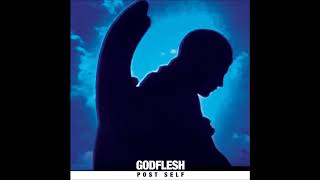 Godflesh - Mirror of Finite Light