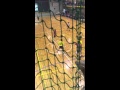 全日本インカレ ハンドボール2015 小澤基