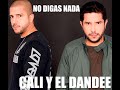 No digas nada ‐ Cali el Dandee (balada instrumental)