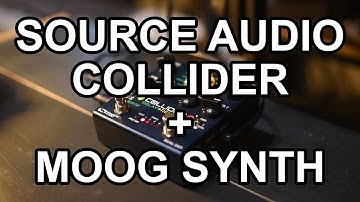 Source Audio Collider + Moog Subsequent 37