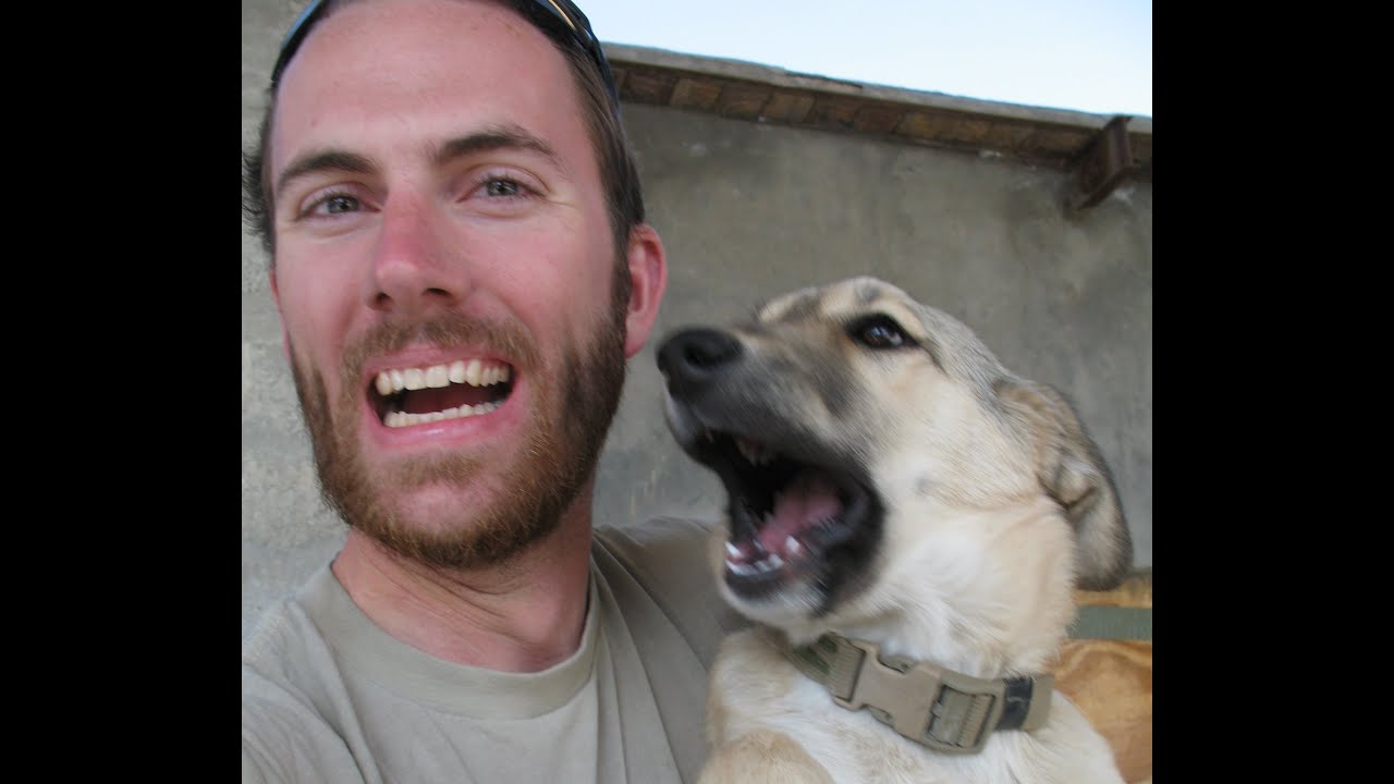 Funny Animals in Afghanistan 