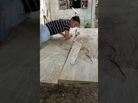 ผลสลากกินแบ่งรัฐบาล วันที่ 1 พย. 2567