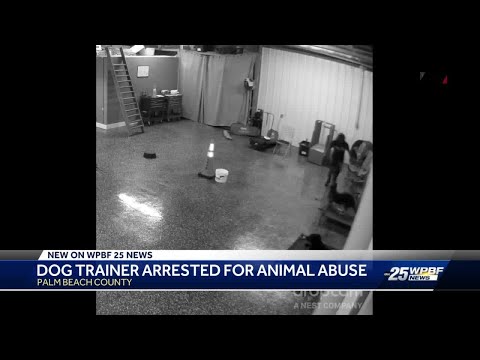 Dog trainer charged with animal cruelty after videos surface of her apparently choking, kicking dogs