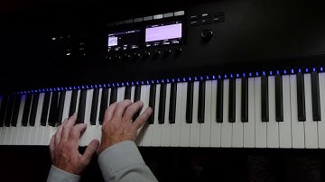 Chopping Water Into Wood • Una Corda composition by Werner Elmker [HQ]