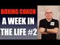 A week in the life of a boxing coach #2 - Gym Walk