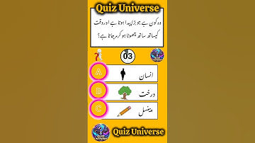 How Many Can You Get Right in This Quiz? 🔥