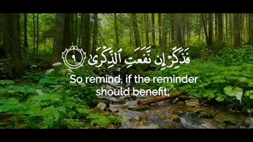 سورة الأعلى - الشيخ أحمد النفيس