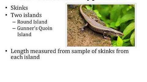 Biostatistics Lecture 2 Part 3 (Basis of Statistical / Hypothesis Testing)