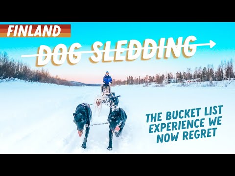 IS DOG SLEDDING ETHICAL? The Bucket List Experience We Now Regret