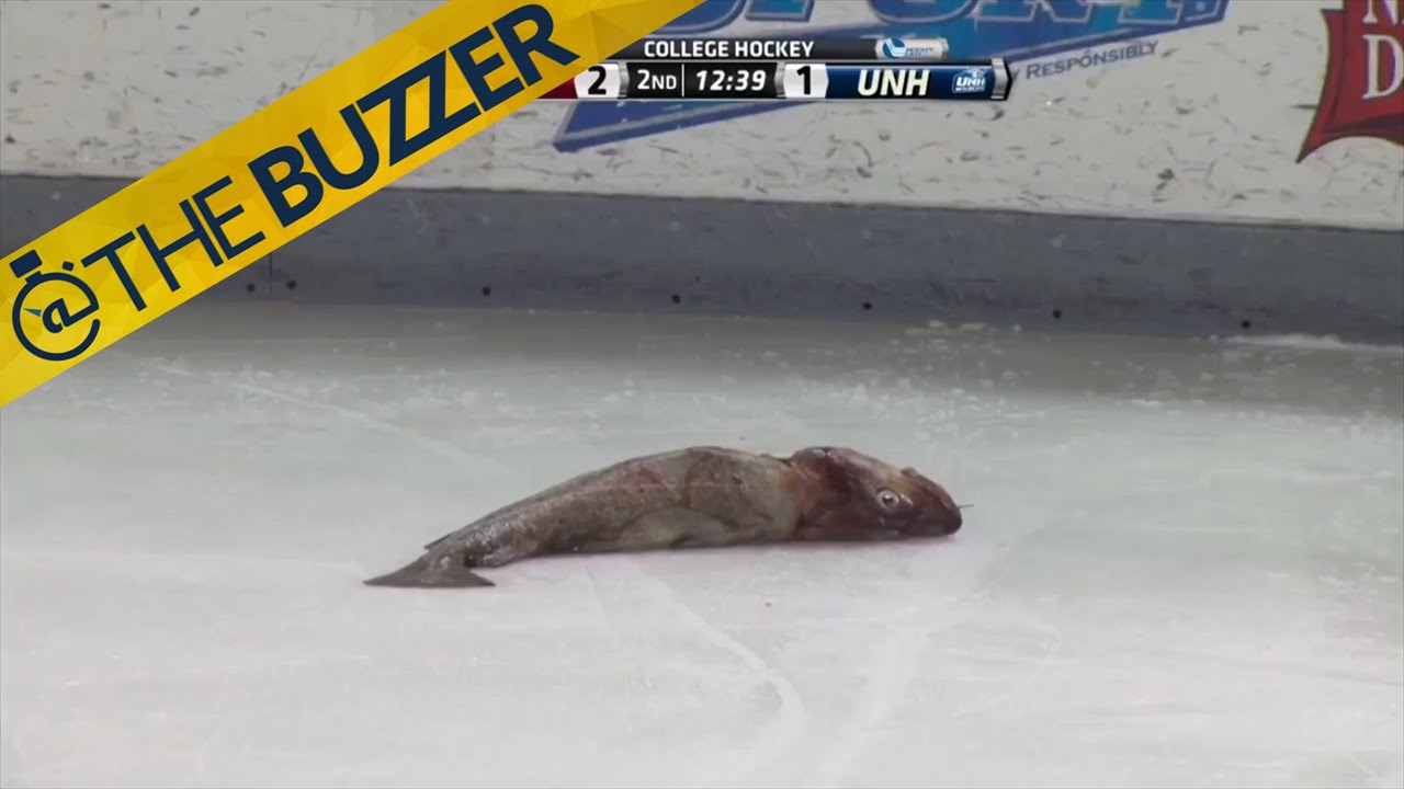 Hockey fan tries to throw fish on ice 