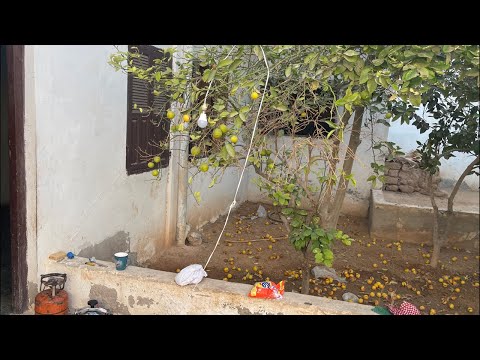 صباح الخير في البادية روتيني اليومي تارودانت الدار البيضاء فرنسا مراكش فاس الله 