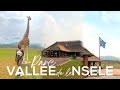 Kinshasa vlog  parc de la valle de la nsele  travel vlog 2021