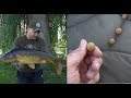 Vissen op karper in het park met zelf gemaakte boilies.