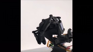 YouBionic Hand Demo