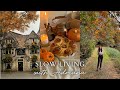 Slow Life in Rural England | Cosy Autumn Homemaking in the Countryside Vlog UK