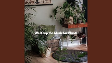 Luxurious Ambiance for Limitless Overtones