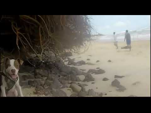 Pelada na praia 4