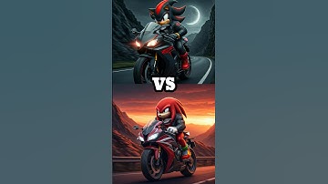 Sonic the Hedgehog and Shadow the Hedgehog vs Police (Dr. Eggman, Knuckles, Tail, Amy Rose)