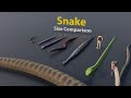 Too big  too small  snake size comparison   3d animation animation animals