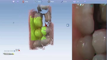 Planscan Color Scanning