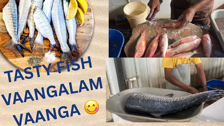 Today Namma vetlaa oru semmayana fish kozambu with fish fry #fishvlogs #vavalfish#tastyfishrecipe