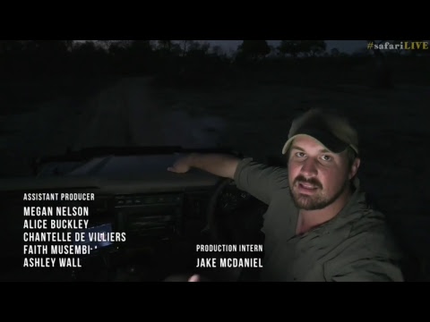 website live stream not working safariLIVE - Sunset Safari - Oct. 30, 2017