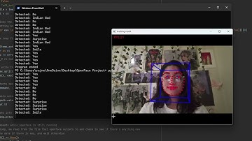HCI Assignment #7 : Head & Face Tracking