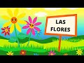 LAS FLORES PARA NIÑOS/ PARTES DE UNA FLOR/ CLASES/ REPRODUCCIÓN/POLINIZCIÓN/ ESPAÑOL