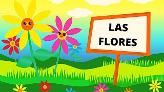 LAS FLORES PARA NIÑOS/ PARTES DE UNA FLOR/ CLASES/ REPRODUCCIÓN/POLINIZCIÓN/ ESPAÑOL