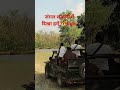 तालाब के पार दिखा बाग @#🐯🐯🐯
