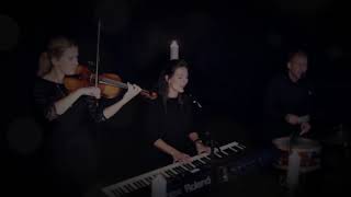 Video thumbnail of "Kunz - Tanzbär (Cover TheVisitors)"