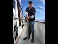 Liberty sportfishing full day trip wide open tuna fishing