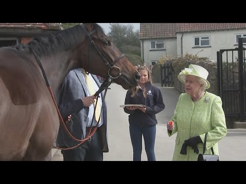 The Queen feeds carrots to race horses at  Manor Farm Stables