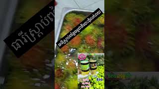 ផលិតផលបែបបូរាណធ្វើនៅក្នុងស្រុកគ្រឿងផ្សំនៅក្នុងស្រុកបែបធម្មជាតិពិតៗ