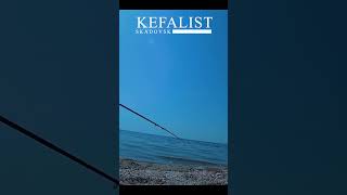 Особенности  РЫБАЛКИ НА КЕФАЛЬ В ЗАБРОД или как ловить кефаль на Черном море