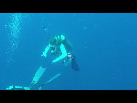 Dive Day 2 Palau: German Channel & Big Drop Off, Ngemelis Island