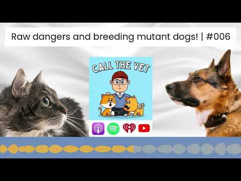 Raw dangers and breeding mutant dogs! | #006