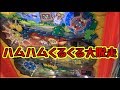 メダルゲーム】ハムハムくるくる大脱走【JAPAN ARCADE】 - YouTube