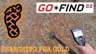 Gold prospecting with a cheap metal detector | Minelab Go Find 22 |