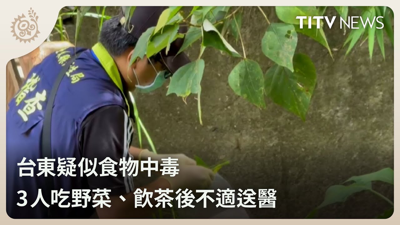 台東疑似食物中毒 3人吃野菜、飲茶後不適送醫｜每日熱點新聞｜原住民族電視台