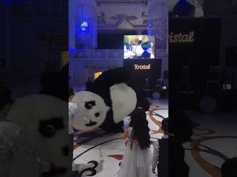 Video: Sıxılmış panda haradandır?