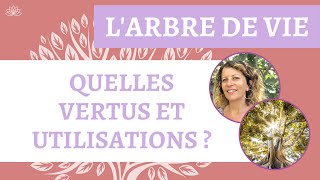 Quel symbole représente la vie ?