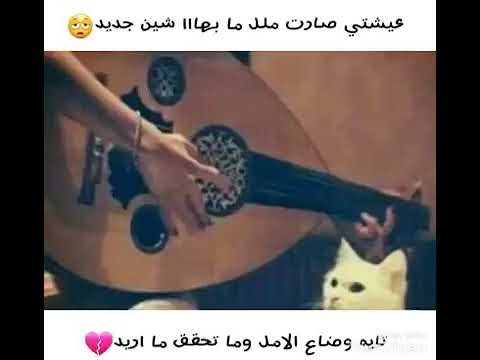 عيشتي صارت ملل 